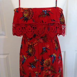 Red Hummingbird Sun Dress